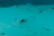 North Bommie - Blue Pools, Queensland, Australia;  1/125 sec at f / 6,3, 20 mm