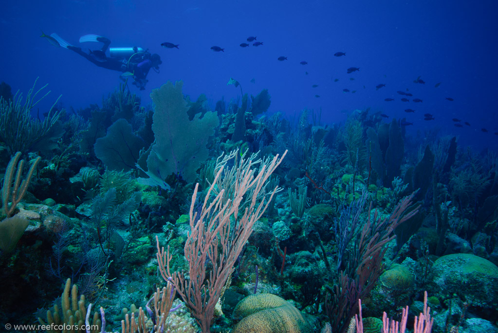 Five Seas, Ciego de Avila, Cuba;  1/125 sec at f / 6,3, 20 mm