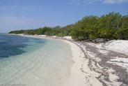 Mangrove Forest, Ciego de Avila, Cuba;  1/400 sec at f / 10, 18 mm