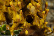 Copacabana Divescenter, Havana, Cuba;  1/320 sec at f / 18, 105 mm