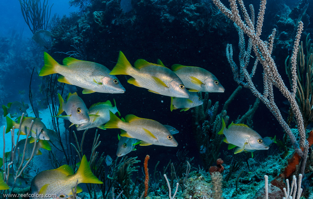 Las Claraboyas, Matanzas, Cuba;  1/160 sec at f / 11, 17 mm