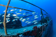 Fragata Russa, Matanzas, Cuba;  1/200 sec at f / 9,0, 10 mm