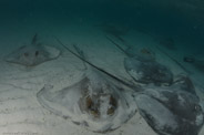 Heron Reef, Queensland, Australia;  1/160 sec at f / 9,0, 14 mm