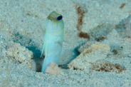 Cayo Piedras, Matanzas, Cuba;  1/250 Sek. bei f / 16, 105 mm